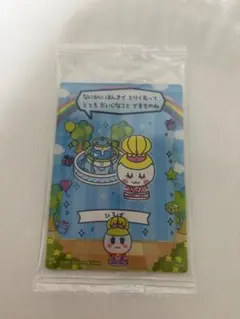 848様 リクエスト 2点 まとめ商品