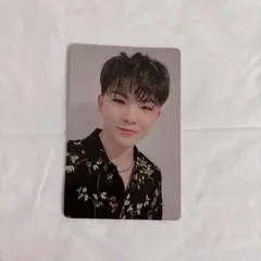 SEVENTEEN ウジ トレカ