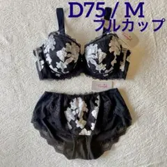 レッドレーベル バイ トリンプ0100 フルカップブラジャー＆ショーツD75/M