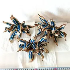 2025年最新】旅人の木 種の人気アイテム - メルカリ