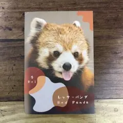 非売品 レッサーパンダ Rei ポストカード