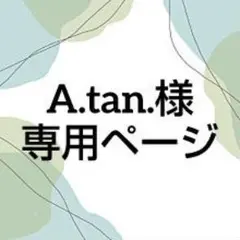 A.tan.様 専用ページ❤️