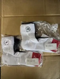 Item thumbnail for item 32db9096-912b-4107-b049-b74a174e5463