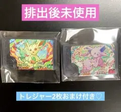 フレンダ　ベストタッグ4 リーフィア　エーフィ ワンダー　セット　おまけ付き♡