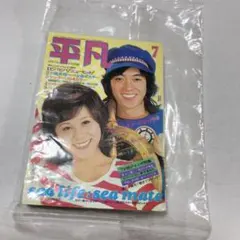 タイムスリップグリコ　思い出のマガジン　月刊　平凡、HEIBON SONG