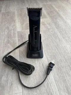 Item thumbnail for item 79cfb2ca-27bc-4444-a85f-23efbf2d7c00