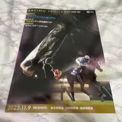冊子　イクイノックス　RACING PROGRAM アルゼンチン共和国杯