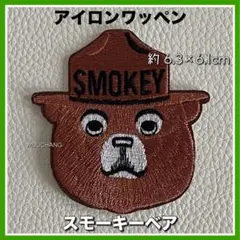 【USA限定】スモーキーベア 刺繍ワッペン◇全面刺繍◇キャンプ◇消防◇レトロ◇熊