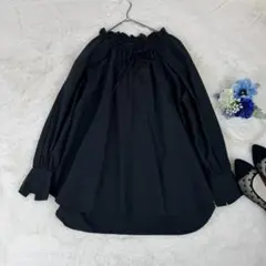 美品】ダーマコレクション ピンタックブラウス ネックフリル プル 