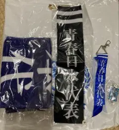 非売品】新しい学校のリーダーズ 青春Mステ代表 靴下 当選通知付き