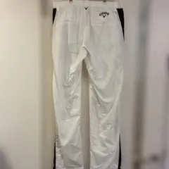 Item thumbnail for item 873a46d6-9457-4eb6-9f33-17ca8fa9e9c2