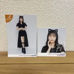 Item thumbnail for item 13400e91-8fb0-49ad-a461-4cf8a72e1779