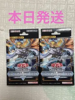 遊戯王 TACTICAL-TRY DECK 退魔天使エクソシスター 2個
