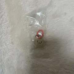 ra様専用 ハルト めじるしアクセサリー