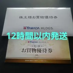 ヤマダ電機 株主優待券 5000円分YAMADA HLDGS. お買物優待券