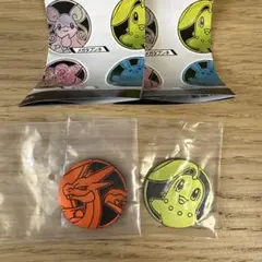 ポケモンコインコレクション　第6弾　メガリザードンY　チコリータ