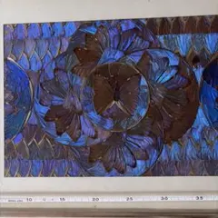 レア】 モルフォ蝶 アート 標本 芸術 コレクション 海外 美術 絵 昆虫
