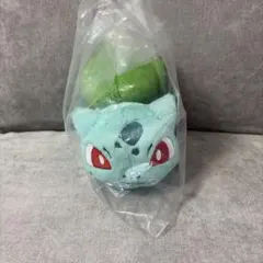 フシギダネ ぬいぐるみ 等身大 すやすや セット - メルカリ