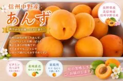 ☆信州大実 5kg 信州産 あんず 杏 生あんず アプリコット - メルカリ