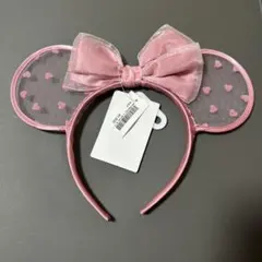 ディズニーリゾート　カチューシャ
