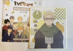 ハイキュー‼︎トレーディングミニ色紙　月島蛍