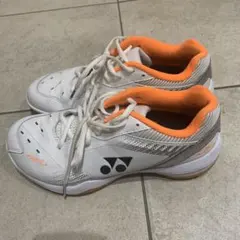 Item thumbnail for item 87f9858d-1bee-4744-a390-f2b841189c39