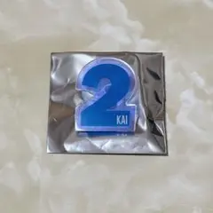 カイ 超特急 ペンライトアクセサリー