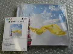 2026年最新】いきものがかり レコードの人気アイテム - メルカリ
