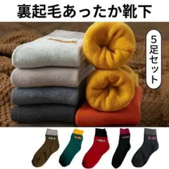 メンズソックス 裏起毛 防寒 暖かい靴下 まるでコタツ 5足 フリーサイズ 男女