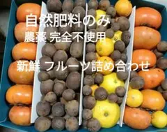 現品限り!自然肥料のみ! 農薬完全不使用!新鮮フルーツ詰め合わせ 計5.6kg