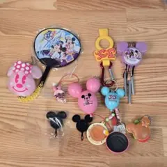 東京ディズニーリゾート　キーホルダーセット
