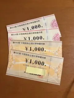 ビックカメラ　コジマ　株主優待　4000円