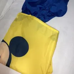 ミッキーマウス 子供用レインコート ディズニー 100