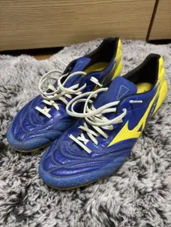 モナルシーダ2 NEO JAPAN