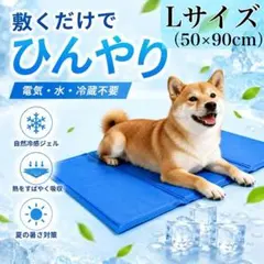 【L】 瞬間冷却 ジェルマット 冷感 敷きパッド ひんやりマット 50×90cmのサムネイル