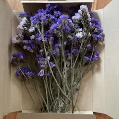 Item thumbnail for item b4de9340-4553-4442-bf98-775a77d09e13