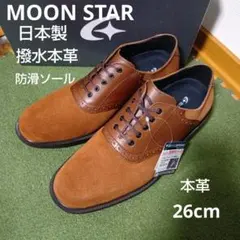 Item thumbnail for item f07a2015-dc6c-4748-8bce-eab509935498