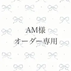 AM様 オーダー専用