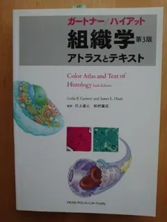 Item thumbnail for item 68ef2b49-6eb1-44ec-aa38-2a8e6abc47b8