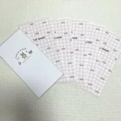 saving バインダーポケットリフィル カラフルvol.2 貯金封筒 - メルカリ