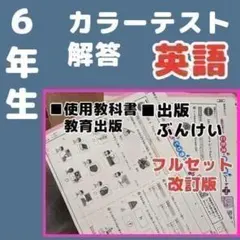 2026年最新】ぶんけい テスト 6年の人気アイテム - メルカリ