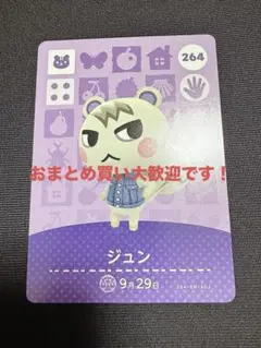 2026年最新】amiiboカード ジュンの人気アイテム - メルカリ