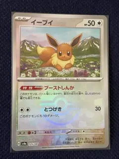 イーブイ　モンスターボールミラー