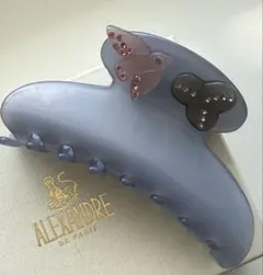 つうちゃんさま専用　アレクサンドルドゥパリ ハートのスワロフスキーがかわいい つうちゃんさま専用 アレクサンドルドゥパリ ハートのスワロフスキーが