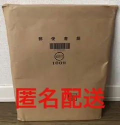 ミニレター 郵便書簡　100枚  ゆうパケット発送 Amazon.co.jp: 日本郵便 ミニレター 郵便書簡 100枚セット