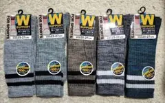 Item thumbnail for item 6d412007-a170-4426-9361-e60fe433d98d