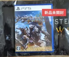 モンスターハンターワイルズ テレビゲーム