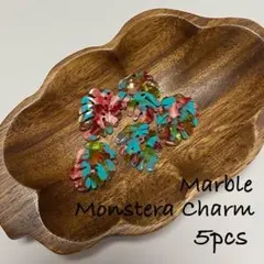 2025年最新】モンステラチャームピアスの人気アイテム - メルカリ