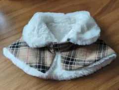 Item thumbnail for item c510a9f1-8d78-4852-ab10-2692a3894e6c