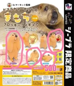 マーモット カプセルトイ
